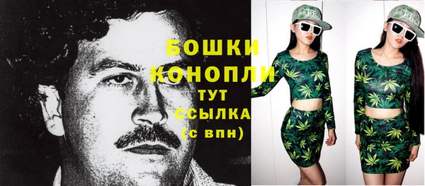 хмурый Арсеньев